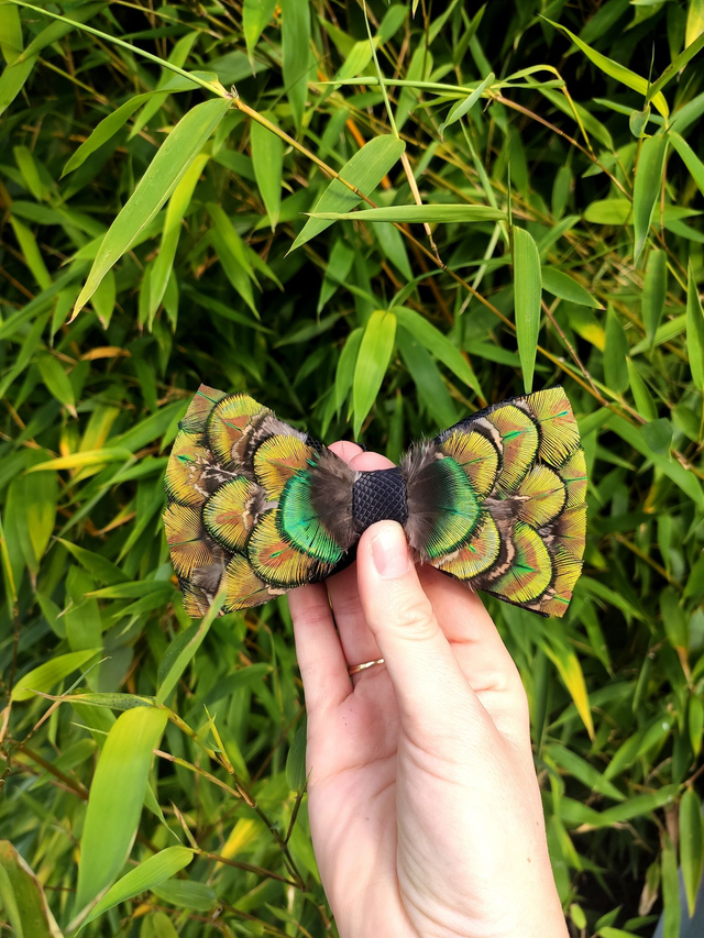 Noeud papillon Tissu et Plumes naturelles de Paon vert
