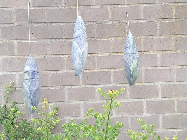 3 Vlinderpoppen / 3 Butterfly pupae