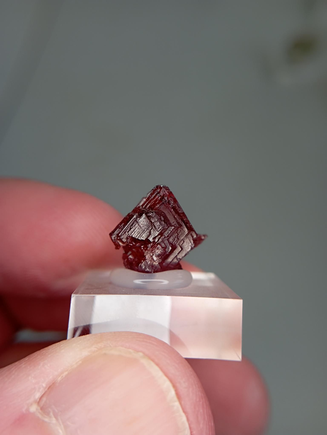 Grenat rouge sur socle