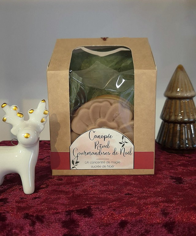 Kit fondant parfumé "Gourmandises de Noël"