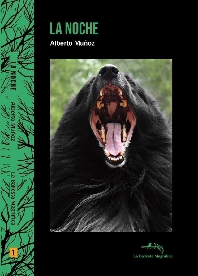 La noche - Alberto Muñoz