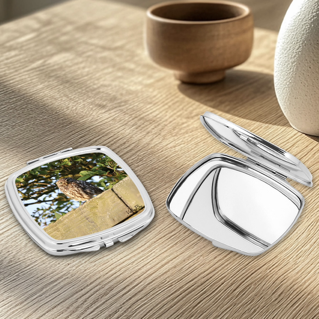 "Little Owl" Compact Mirror  