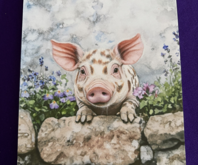 Plain Note Pad Pig Pink