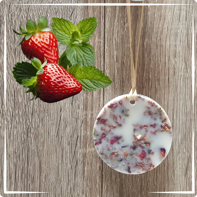 Palet désodorisant Fraise Menthe