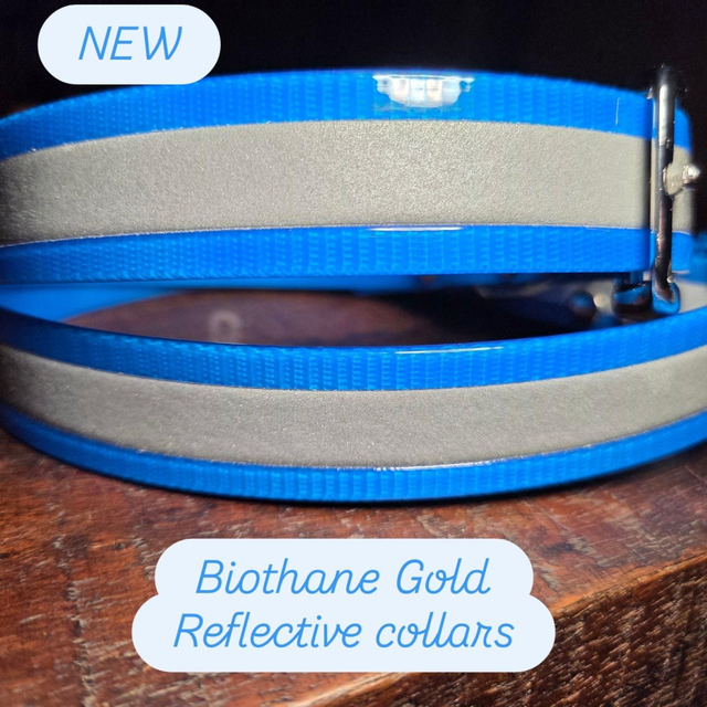 Biothane GOLD reflective collar