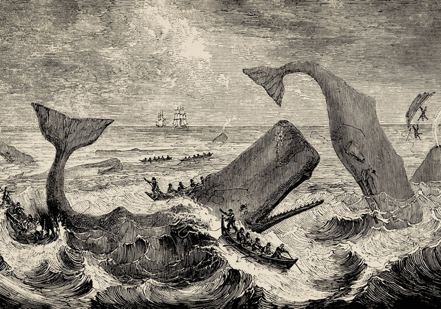 Moby Dick Scene