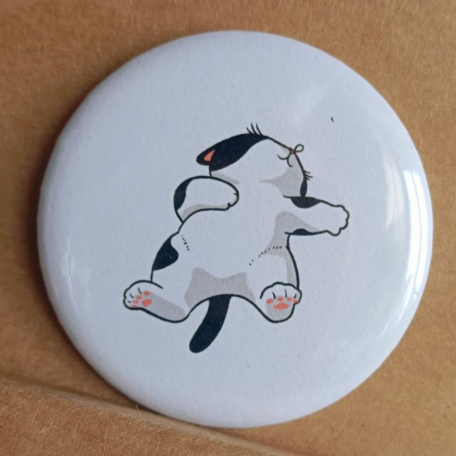 Le poti chat qui dort