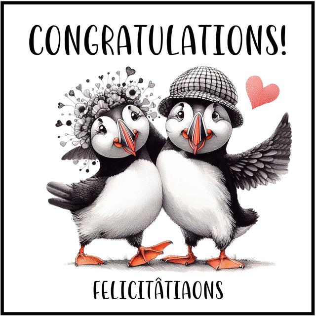 100 CARD - OCCASION CONGRATULATIONS PUFFIN COUPLE