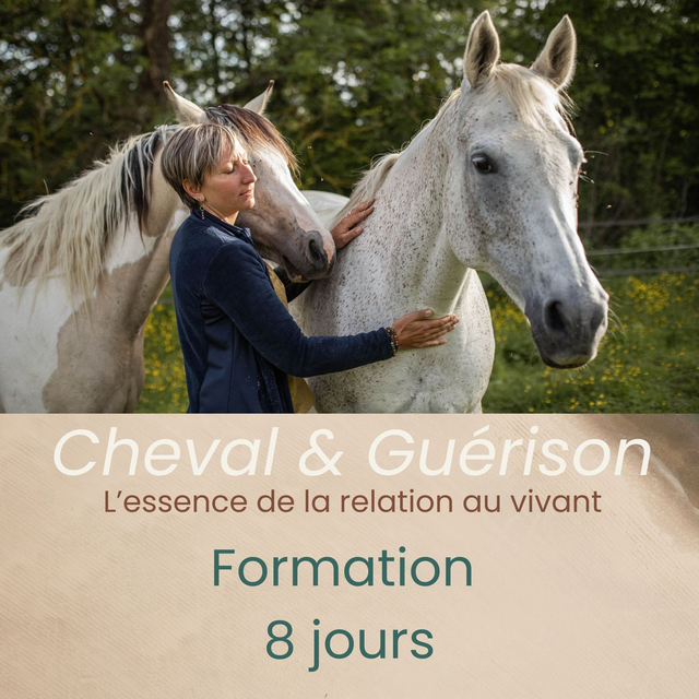 Cheval &amp; Guérison – Parcours sur 8 semaines