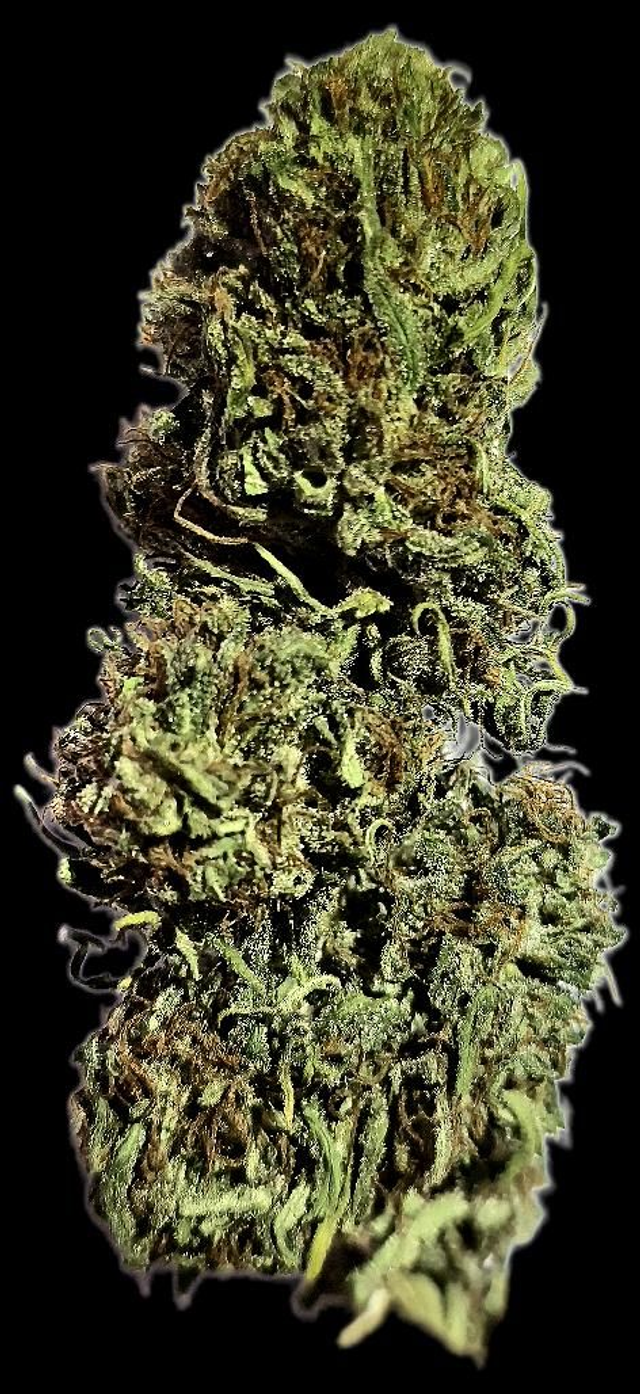 Forbidden V - CBDV Bio, à partir de 2€20/g