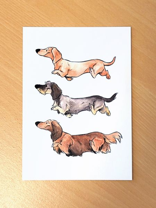 Postcard print Dachshund