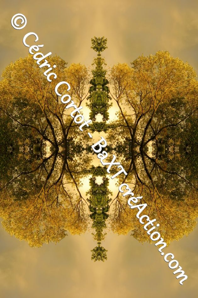 Impression sur alu dibond - Entre réel et irréel (ref 1476 R3)