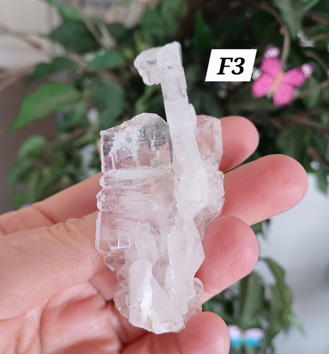 Lemurian Faden Quartz