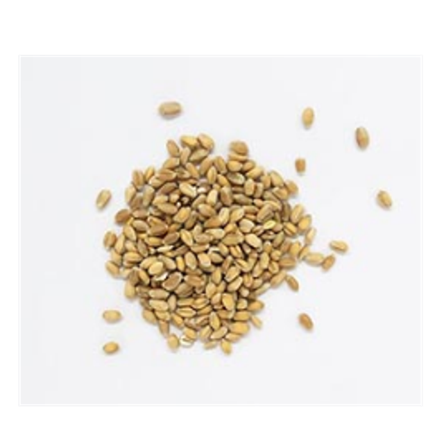 Blé Mondé Précuit Bio - 5,50€/kg