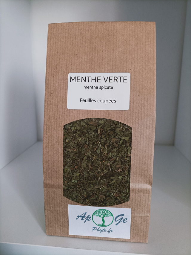 Menthe verte (mentha spicata) sachet de 50 grammes