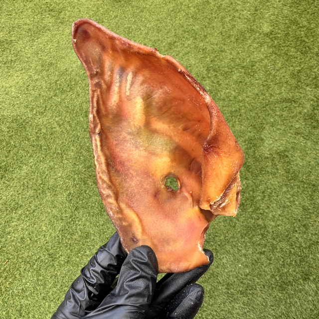 Iberian Pig Ear 1 Piece