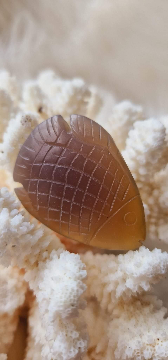 Agate Fish