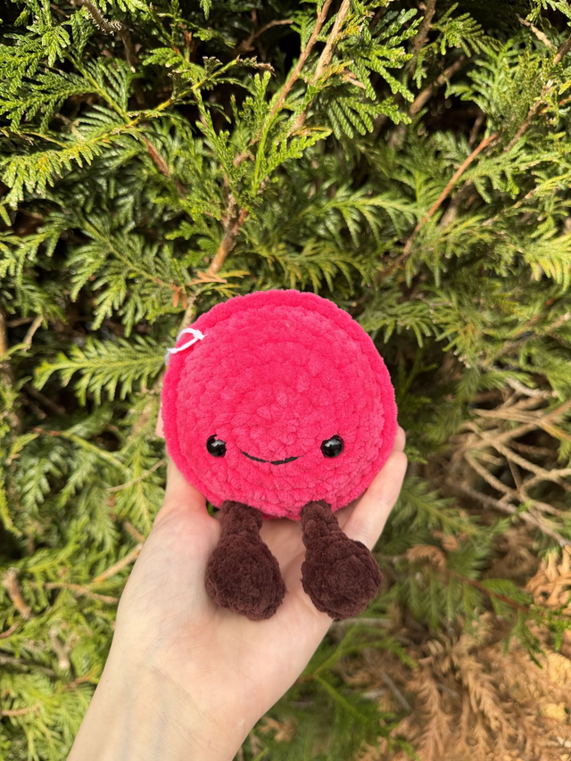 Macaron 🧁