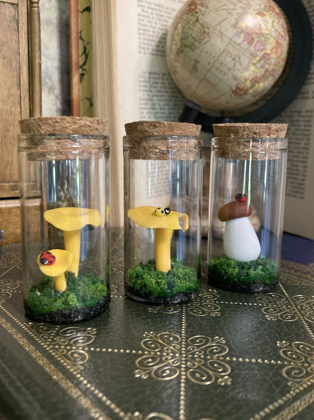 Champignons coccinelle