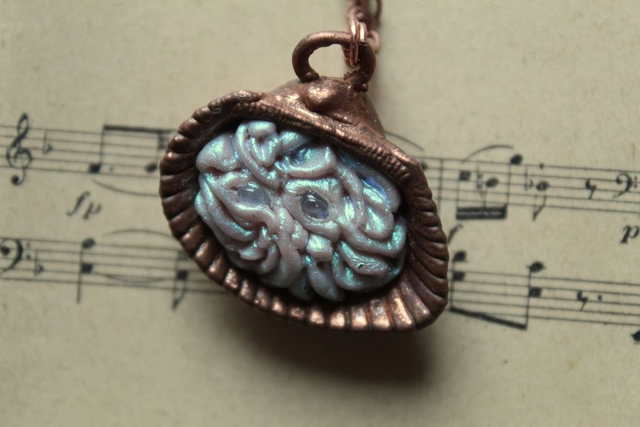 Coquillage Métamorphe ( Cuivré ) n°24