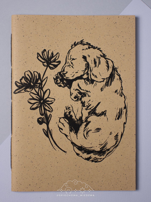 Notes Jamniczek | a5 40k oprawa miękka | ZWIERZĘTA