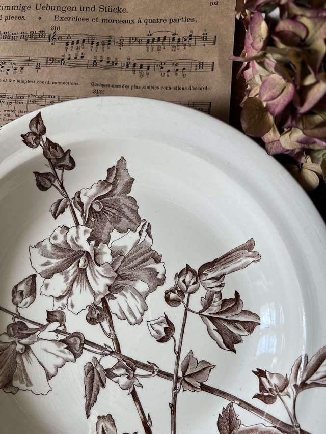 TREMIERES - Plat creux rond de la manufacture des Salins XIXème siècle - Terre de Fer