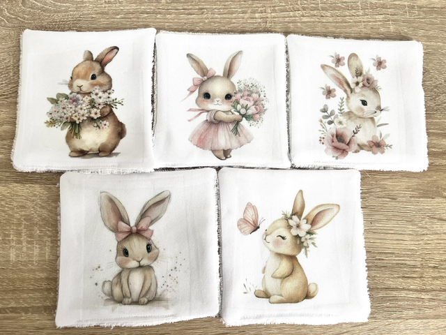 Débarbouillettes