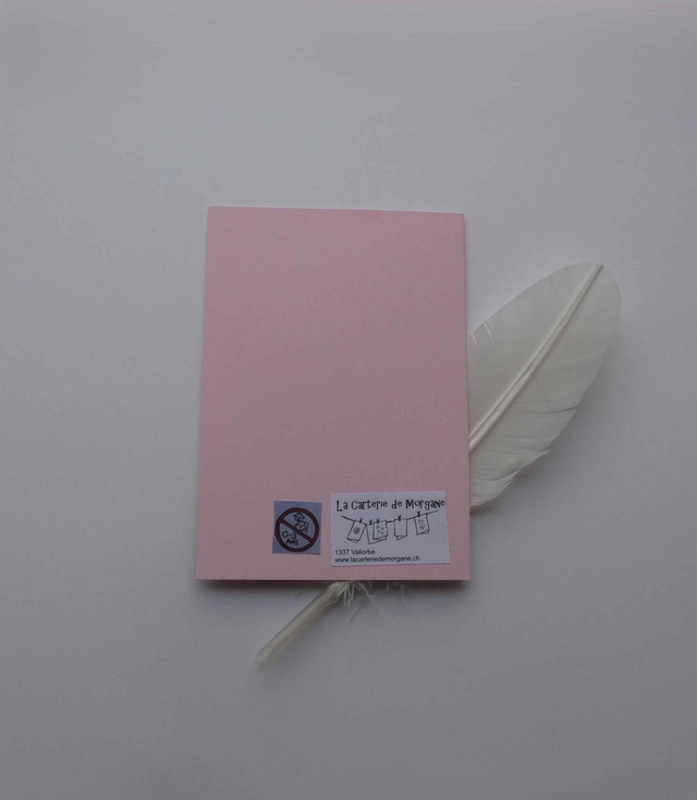 Le chat de la bonne année