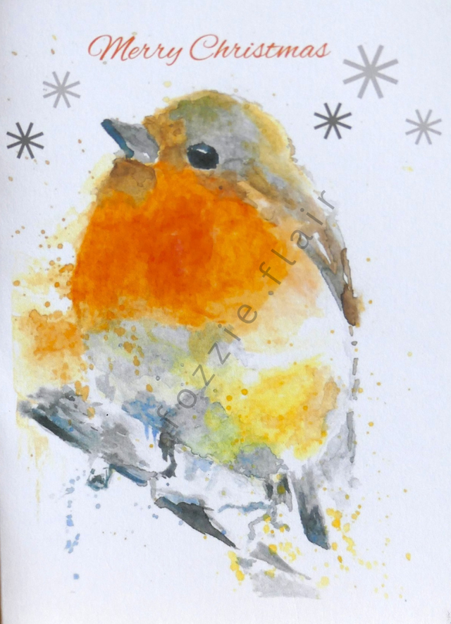 Robin Snowflakes (Christmas Card)