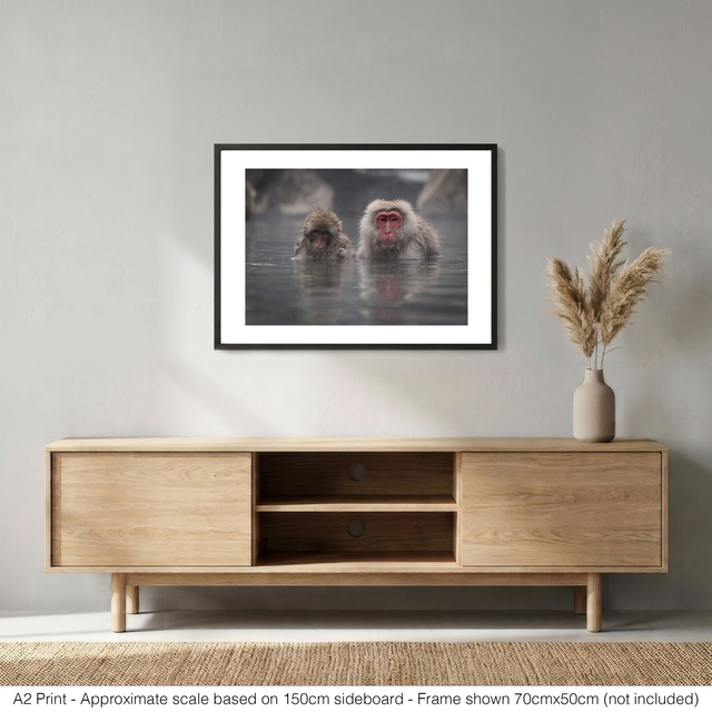 Snow Monkeys - Mr & Mrs Snow Monkey