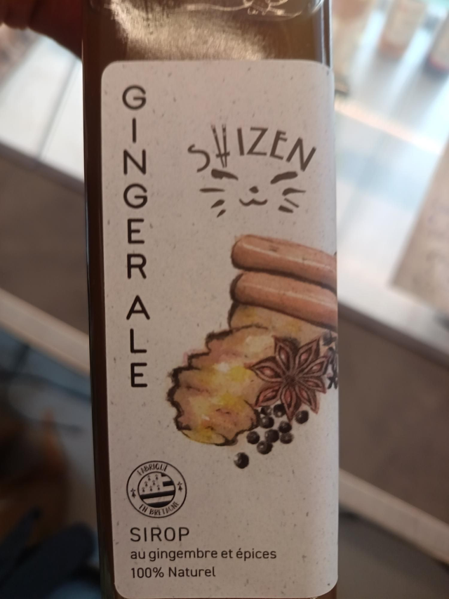 Ginger Ale sirop au gingembre miel et épices 