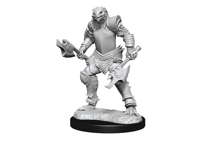 Nolzur’s Marvelous Miniatures – Dragonborn Fighter
