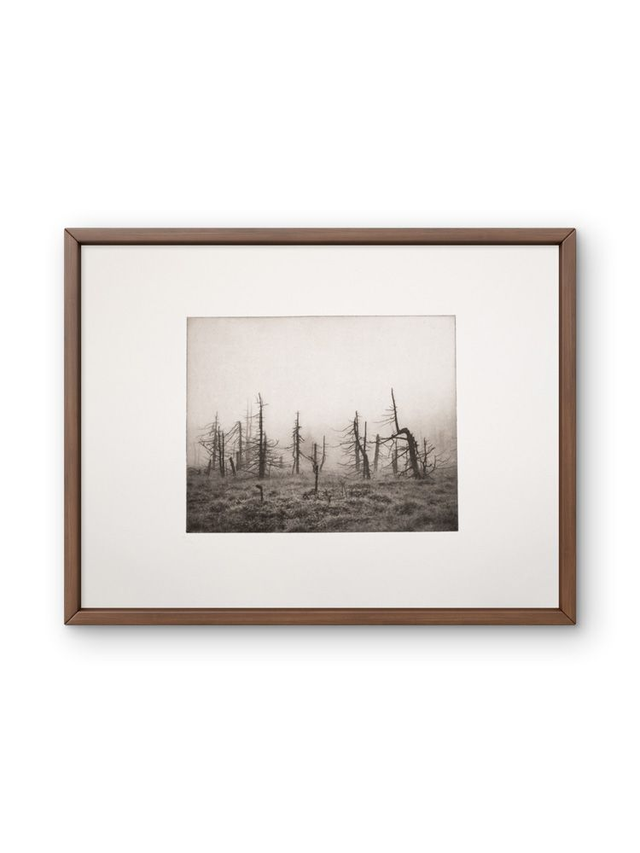 30x40  'Once' photogravure handprint framed 