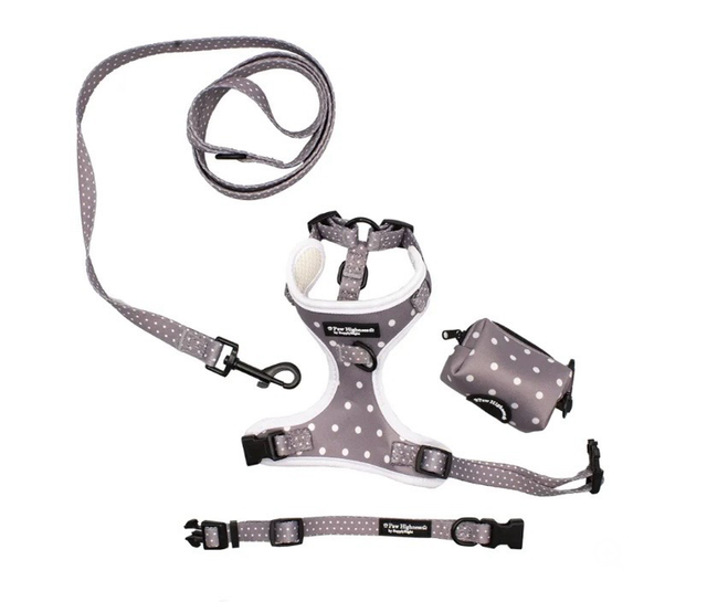 Silver Dotty Harness Set