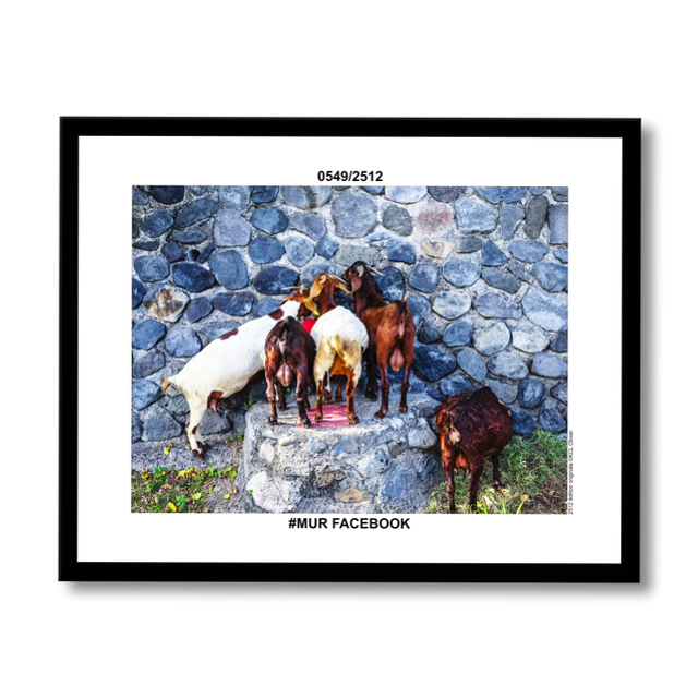 0549/2512 #MUR FACEBOOK 