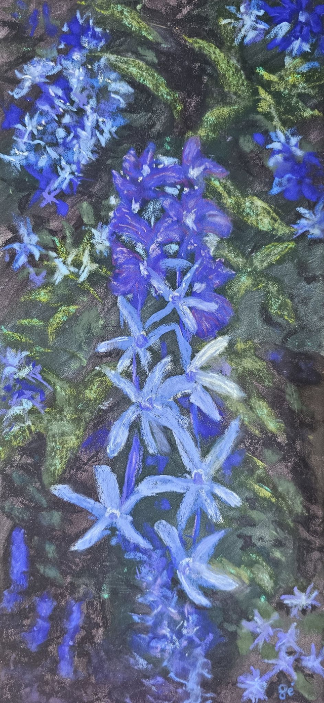 Petrea Tableau aux pastels secs