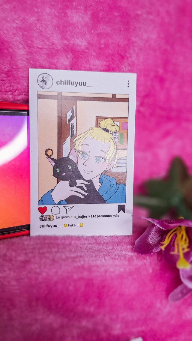 Chifuyu Tokyo Revengers IG - Photocards