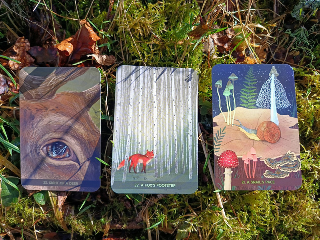 Forest Meditations: a deck that supports the Japanese practice of shinrin yoku (forest bathing) * by Moc Lasu