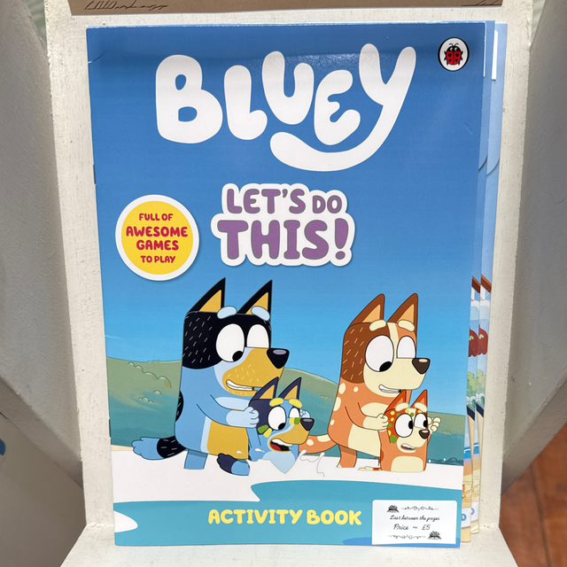 Bluey activity book 