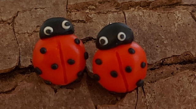 Ladybug Earrings