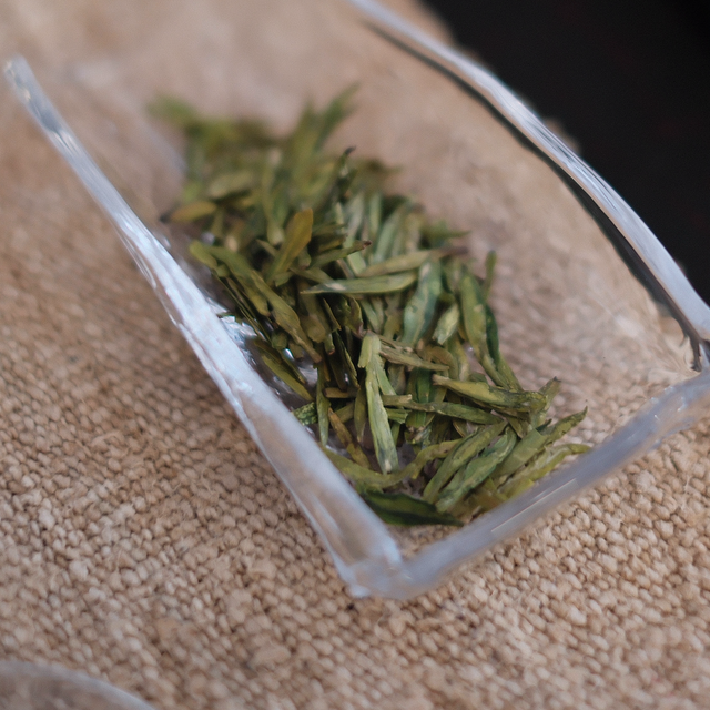 头采明前龙井2025 1e cueillette Ming qian Long Jing 2025