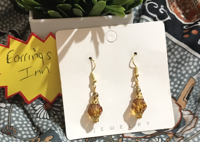 Brown  Dangling Earrings - BRDE38