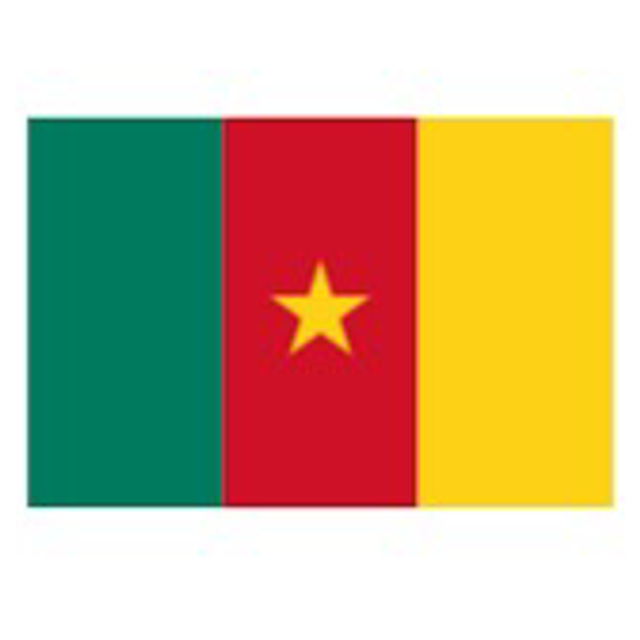 Grand drapeau CAMEROUN 90X150cm