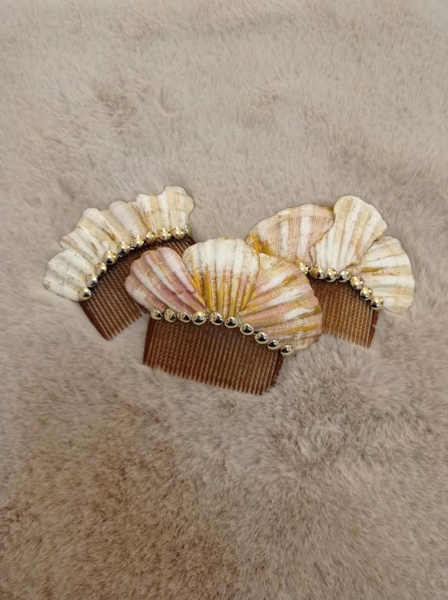 Peigne à cheveux coquille st Jacques