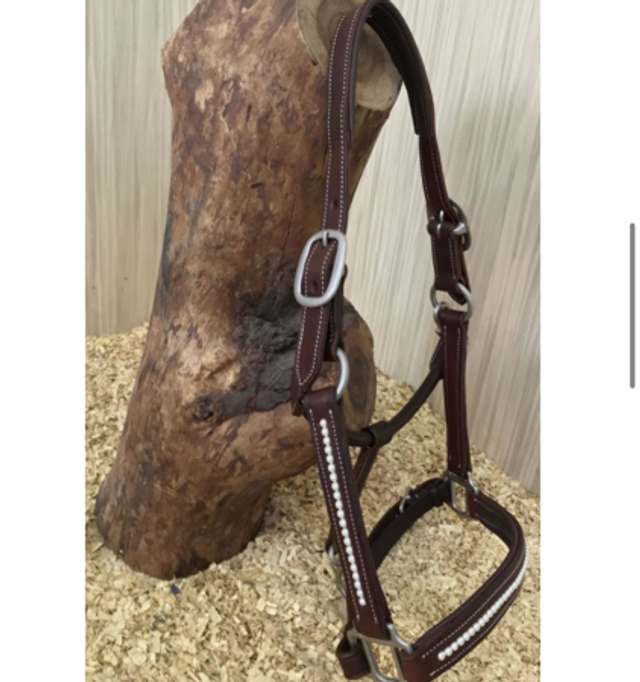 Lederhalfter mit Swarowski Perlen