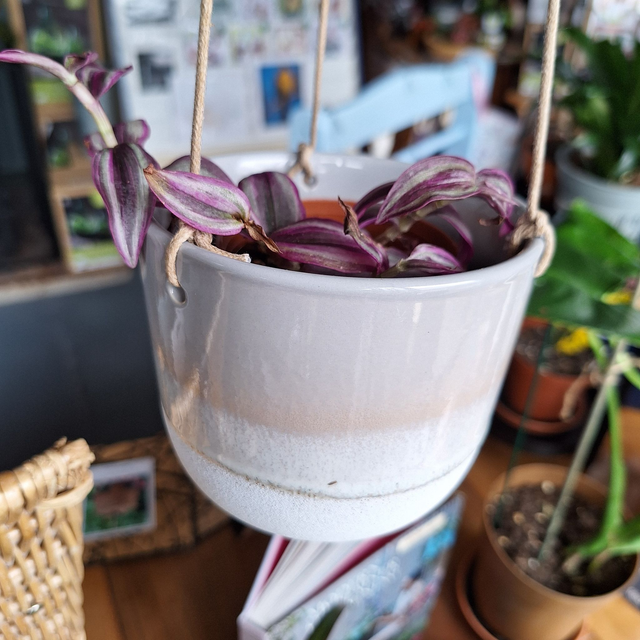 Hanging pot - grey and stone two tone by Sass and Belle