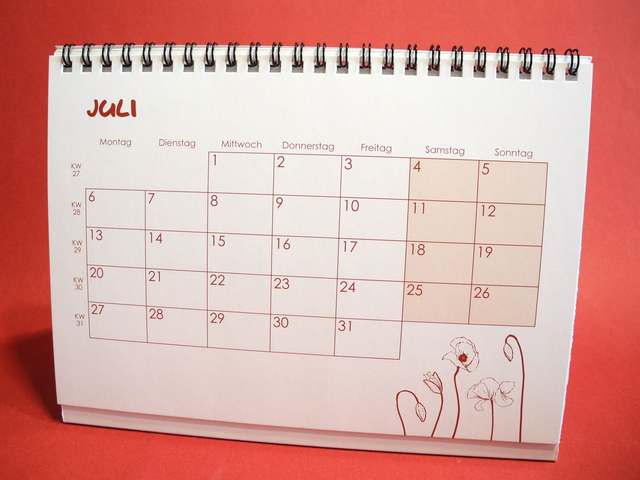 „No-nonsense Kalender“ - desk calendar 2026 -