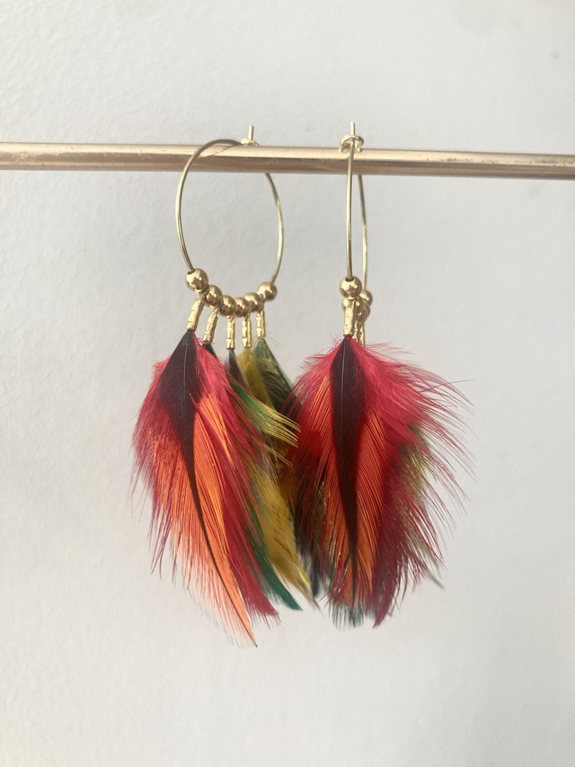 Créoles Amazone solaire