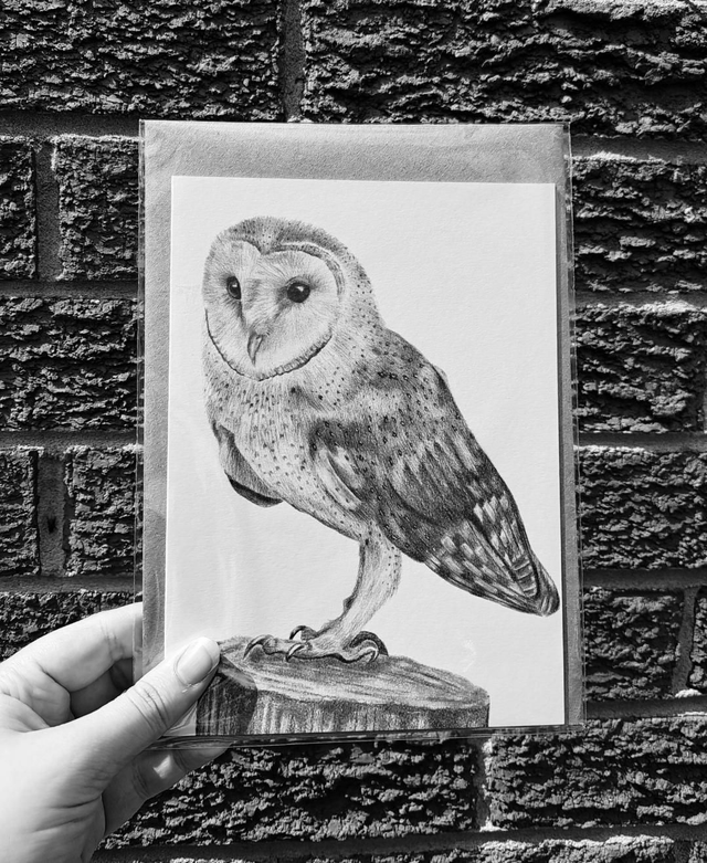 Barn Owl Greetings Card