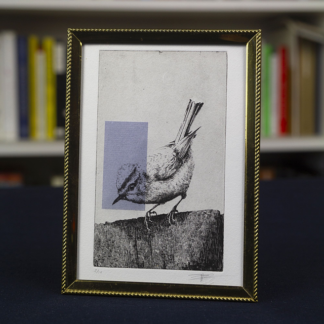 Fine art etching / Vintage frame / Firecrest bird